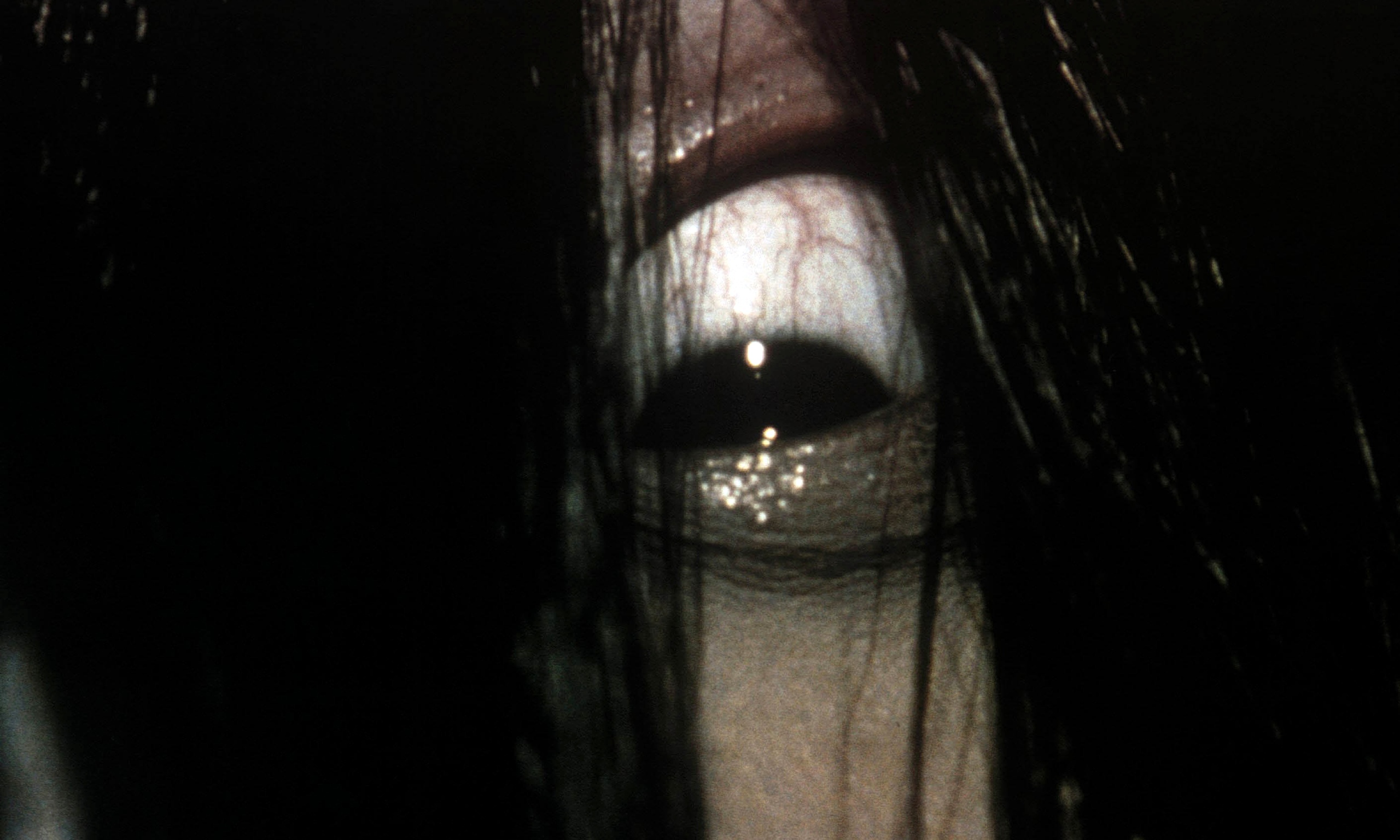 The Ring Vs. The Grudge Announcement Trailer Released