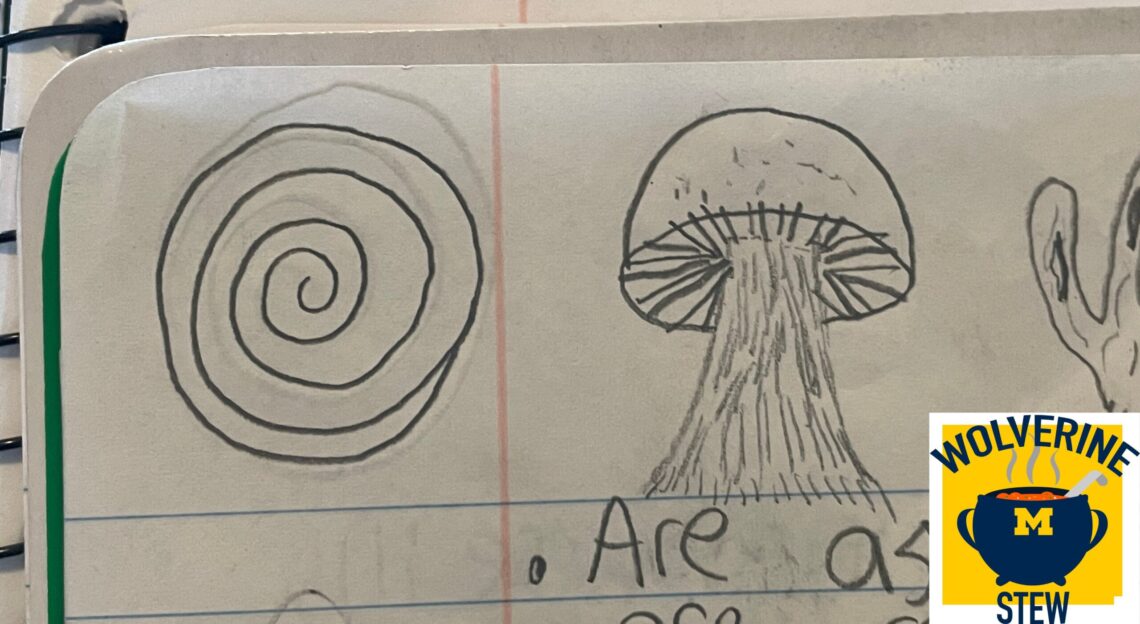 Wolverine Stew Anatomy of a Notebook Page arts, ink.
